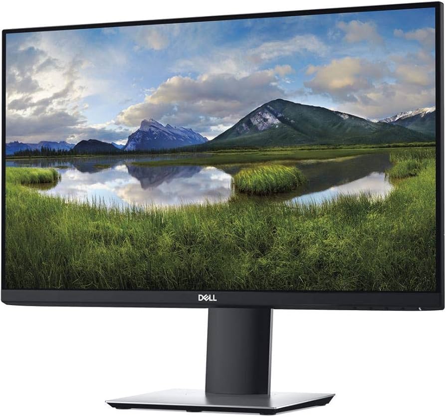 The Dell P2419H is a 24-inch Full HD monitor
